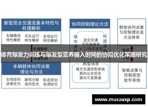 体育爆发力训练与爆发型营养摄入时间的协同优化策略研究